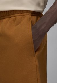 Jordan BROOKLYN - Kurze Sporthose - desert bronze white