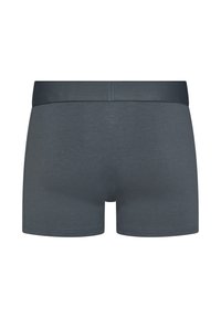 Grijze katoenen boxershorts met een zachte elastische tailleband. De stof is glad en heeft een eenvoudig ontwerp zonder extra patronen of accenten.