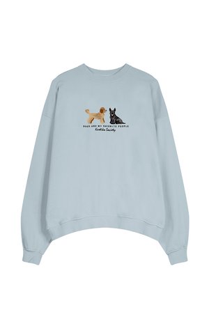 CREW WASHED PUPPIES ELLIOTT UNISEX - Sweatshirt - steel