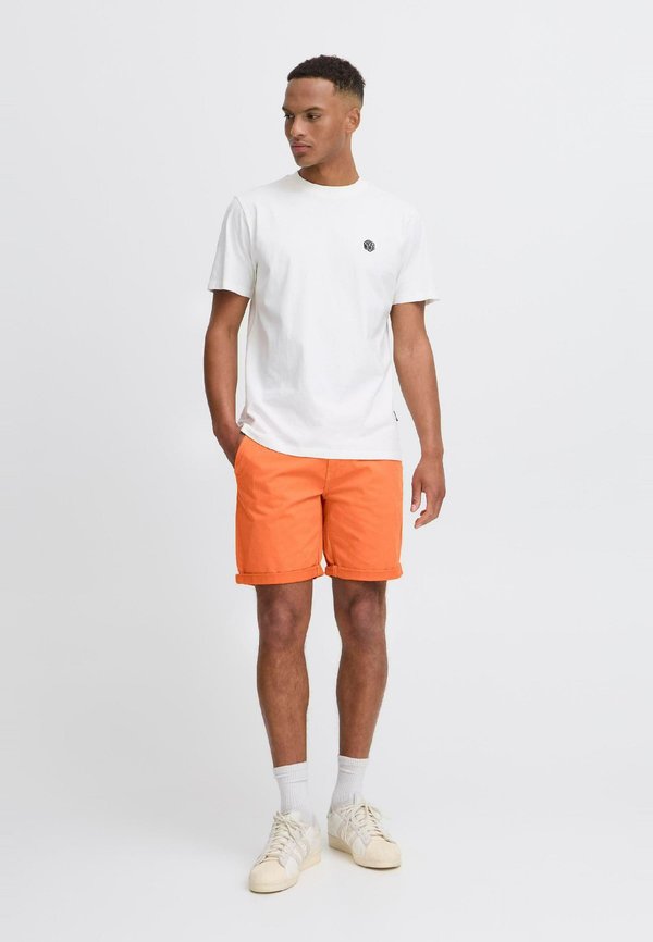 BHMASON-SHORTS SLIM/ REGULAR FIT - Shorts - arabesque2