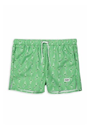 Pantaloncini da bagno verdi con motivo di fenicotteri bianchi e strisce verticali, dotati di cintura con cordino e un'etichetta con il marchio sul davanti.