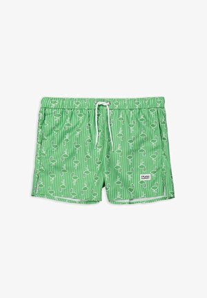 Shorts de bain verts avec un motif de flamants roses et des rayures verticales, dotés d'une taille avec cordon de serrage et d'une étiquette de marque à l'avant.