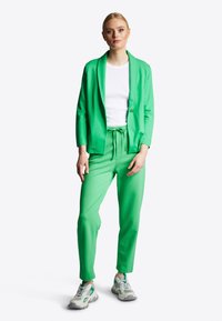 Rich & Royal Pantaloni - frog green