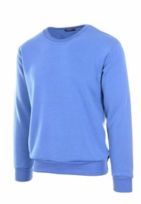 Felpa blu in cotone con scollatura rotonda, maniche lunghe e polsini e fondo a coste. Tessuto liscio e colore uniforme senza pattern.