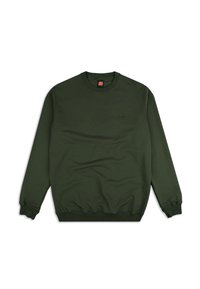 Sudadera de cuello redondo verde hecha de algodón, con puños y dobladillo acanalados, textura suave y un pequeño logo bordado en el pecho.