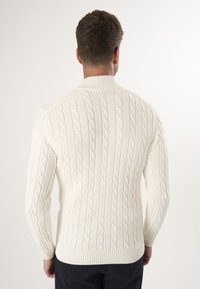 Cremfarbener Kabelstrickpullover mit geripptem Kragen und Saum, der ein strukturiertes Muster und enganliegende Ärmel aufweist, aus der Rückansicht gezeigt.