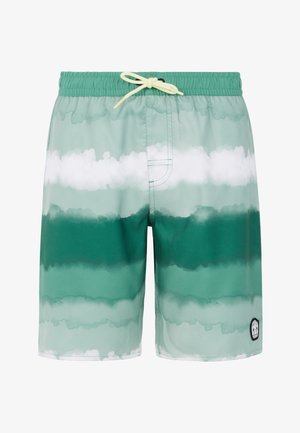 Groene zwemshorts met een patroon en een verloopontwerp, met lichte en donkere groene strepen, een elastische tailleband en een trekkoord.