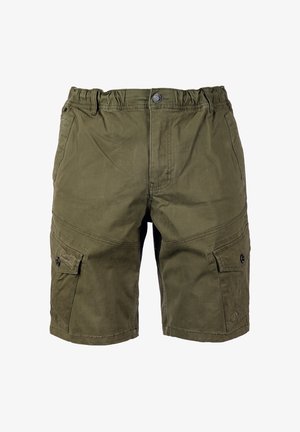 TOP GUN, TOP GUN CARGOSHORTS TG25005 - Shorts - olive