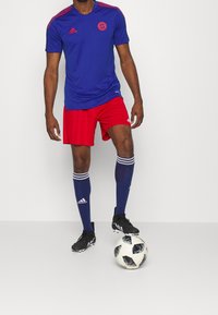 Fotbalový dres Adidas Bayern Mnichov v modré barvě, červené šortky, námořnické ponožky s bílými pruhy a černé kopačky. Stojí vedle fotbalového míče.