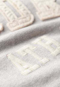 Superdry & Co ATHLETIC ESSENTIALS  - Sudadera - grey marl