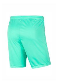 Pantaloni sportivi verde menta realizzati in un tessuto liscio e leggero, con una cintura elastica, caratterizzati da un design semplice e un taglio dritto.