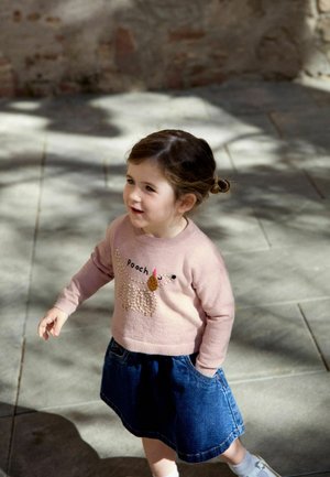 Next, REGULAR FIT - BOXY JUMPER - Strickpullover - pink pooch embroidered