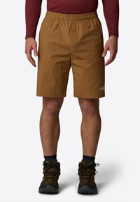 The North Face LIMESTONE - Shorts - utility brown