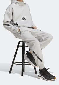 adidas Sportswear Pantaloni sportivi - grey