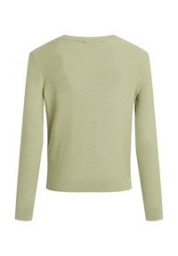 Maglione a manica lunga verde chiaro in maglia con polsini e orlo a costine, mostrato da dietro su uno sfondo bianco.