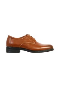 Chaussure habillée pour homme en cuir marron avec fermeture à lacets et talon empilé noir, présentée de profil sur fond blanc.