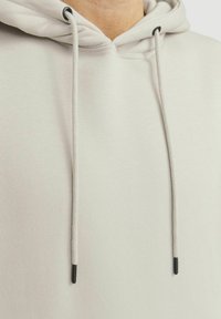 Light gray hoodie with contrasting dark drawstring tips, soft texture, and visible stitching details on the collar and seams.