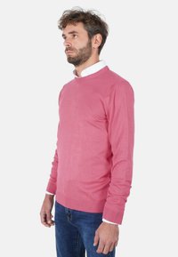 Uomo con capelli ricci e barba che indossa un maglione rosa sopra una camicia bianca con colletto e jeans blu, rivolto verso sinistra su sfondo bianco.