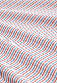 TOM TAILOR DENIM Marškinėliai su spaudiniu - blue red white stripe