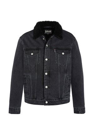 TRUCK - Jeansjacke - grey