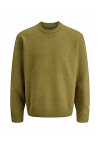 JORNORREBRO CREW NECK - Maglione - olive drab