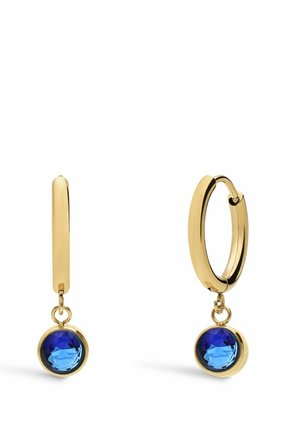 Earrings - gold-coloured/blue