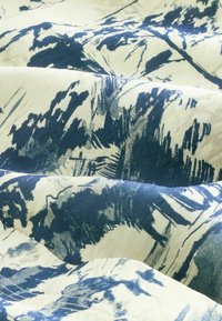 REGULAR FIT - LONG SLEEVE - Gombos blúz - blue scenic print