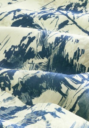 Next REGULAR FIT - LONG SLEEVE - Užsagstoma palaidinė - blue scenic print