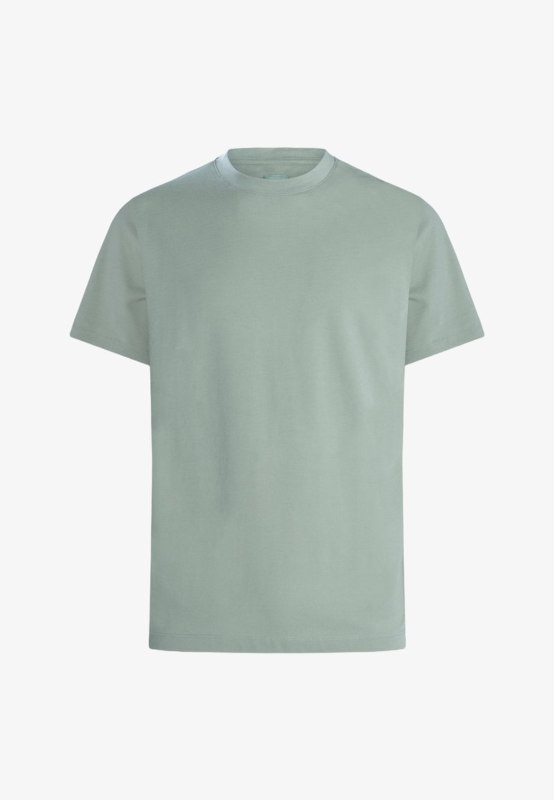 Yksivärinen salvianvihreä lyhythihainen pyöreäkauluksinen T-paita, jossa on normaali istuvuus ja näkyvä tikkauksia hihoissa ja helmassa.