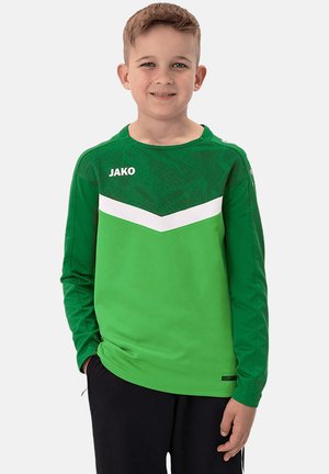 Groen trainingsshirt met lange mouwen en een wit chevronpatroon. Gemaakt van lichtgewicht stof, met een textuur bovenaan en een logo op de borst.