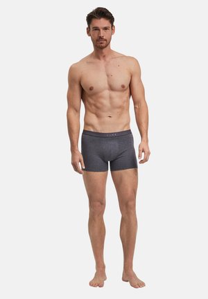 Man standing barefoot wearing dark gray boxer briefs against a plain white background, facing forward with arms relaxed.