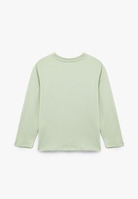 Lichtgroene blouse met lange mouwen en een ronde hals, zachte textuur en eenvoudig ontwerp. Effen achterkant zonder extra patronen of accenten.
