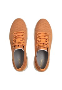 Scarpe sportive arancioni con parte superiore in maglia traspirante, punta tonda, lacci piatti e suola bianca a contrasto. Presenta il logo sulla linguetta.