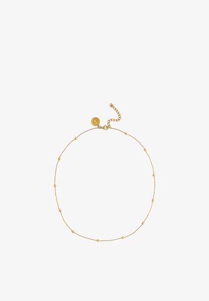 Collana delicata con catena d'oro, perline rotonde piccole distribuite uniformemente e chiusura a moschettone, dotata di un'estensione regolabile e un piccolo ciondolo rotondo.
