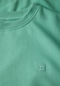 Mintgrön sweatshirt med ribbad rundhals, har en liten, texturerad logotyp i det nedre hörnet. Mjuk tygkänsla.