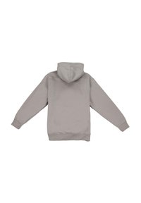 Dropsize Sweat à capuche - flint