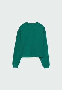 Felpa verde corta realizzata in tessuto morbido, con scollo rotondo, spalle abbassate e polsini a costine. Nessun motivo o dettaglio visibile.