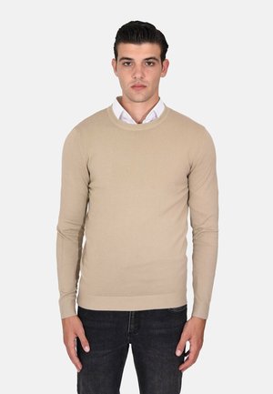 Maglione beige in una vestibilità slim, con scollo rotondo e maniche lunghe, realizzato in tessuto morbido. Indossato sopra una camicia bianca con colletto.