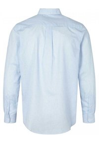 Light blue striped long-sleeve shirt with a pointed collar, button closure, and a pleat detail at the back, made from a smooth fabric.