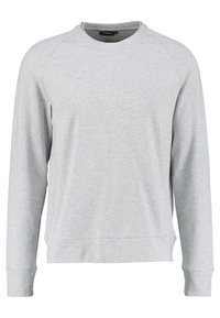 Ljusgrå sweatshirt gjord av mjukt tyg, med rund hals, långa raglanärmar och rak fåll. Inga synliga mönster eller detaljer.