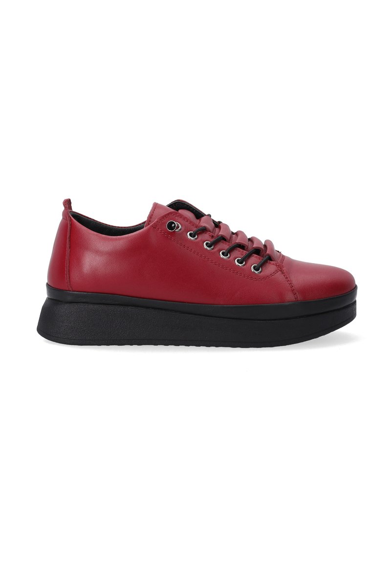 VENEZIA Sneaker low - bordeaux