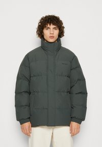 Carhartt WIP DANVILLE JACKET - Winter jacket - boxwood/black