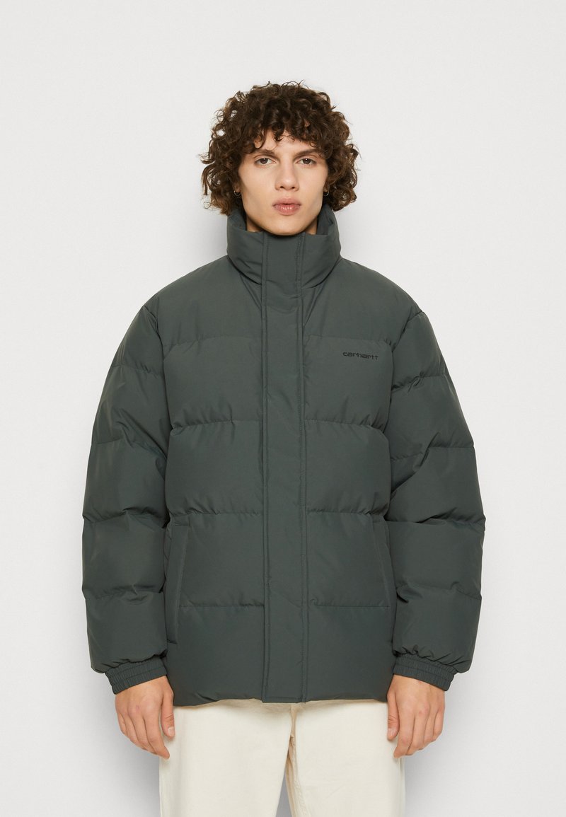 Carhartt WIP DANVILLE JACKET - Winter jacket - boxwood/black