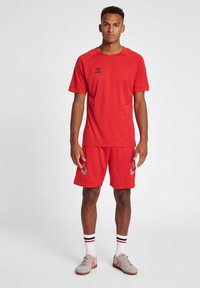 Rode sportshirt en shorts, gemaakt van lichtgewicht stof. Shirt heeft een ronde hals en een logo, terwijl de shorts zilveren accenten hebben.