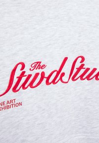 Sweat-shirt gris avec texte brodé en rouge "The StwdStdu" et "FINE ART EXHIBITION", avec une surface douce et texturée.