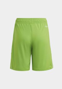 Grüne Sportshorts aus glattem, leichtem Stoff. Mit einem elastischen Bund und weißen Seiteneinsätzen für Kontrast.