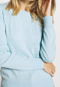 Pull bleu clair à col rond en tissu tricoté doux, avec poignets et ourlet côtelés. Silhouette ajustée avec une texture lisse.