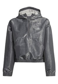 adidas Sportswear Větrovka - grey sixgrey twosilver met.