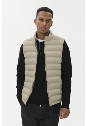 Matinique SALVATORE - Smanicato - winter twig