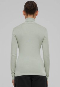 Hellgrüner Rollkragenpullover in taillierter Passform mit langenärmeln, geripptem Saum und Bündchen, aus einem glatten, dehnbaren Stoff gefertigt.